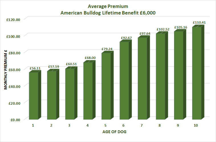 Average cost of American Bulldog Insurance