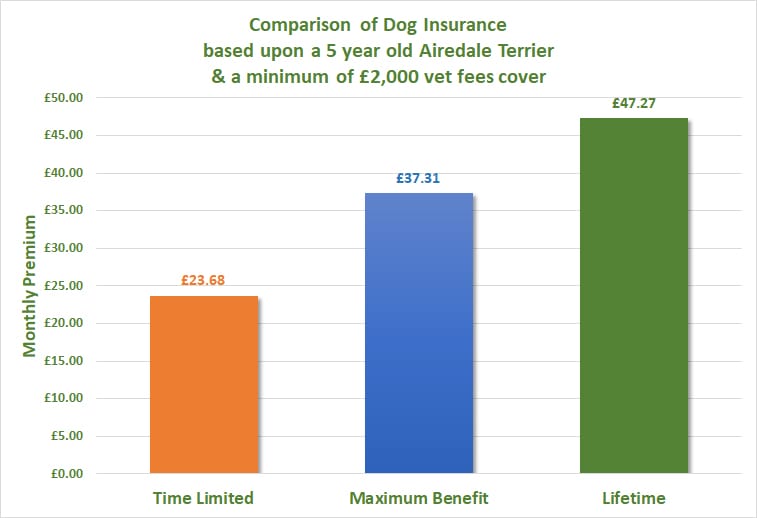 Dog Insurance Comparison of Cover Airedale Terrier