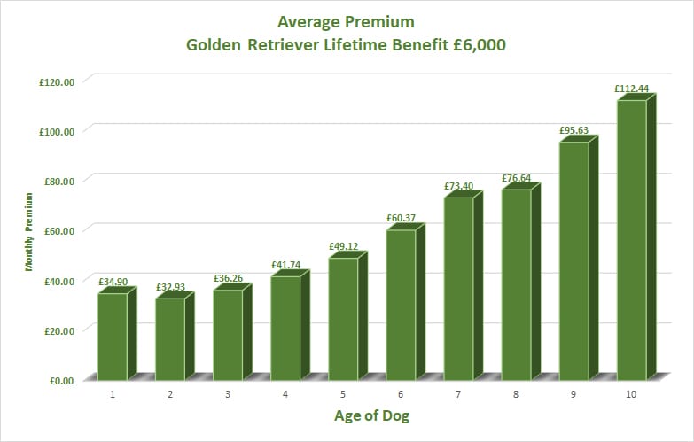 Golden Retriever Average Premium vs Age