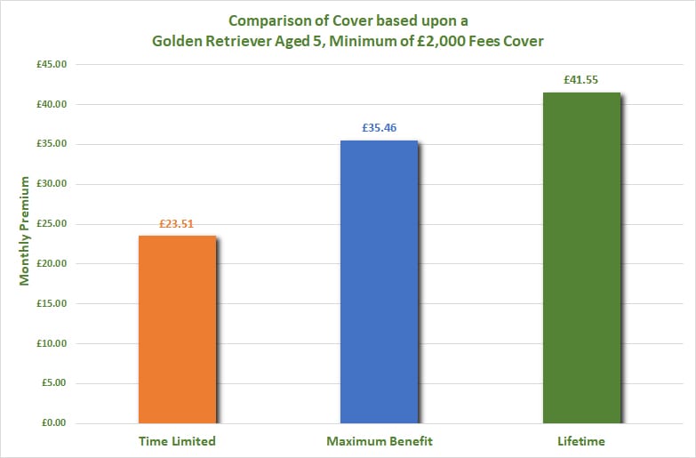 Insurance comparison Golden Retriever