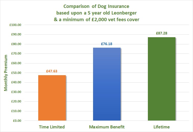 Leonberger Dog Insurance Comparison of covers