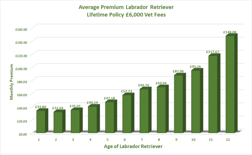 Average increase in premium as your dog gets older