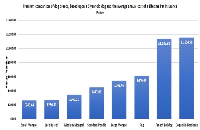 Premium Comparison between Dog Breeds