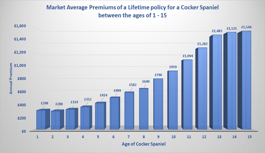 Best Dog Insurance for a Cocker Spaniel