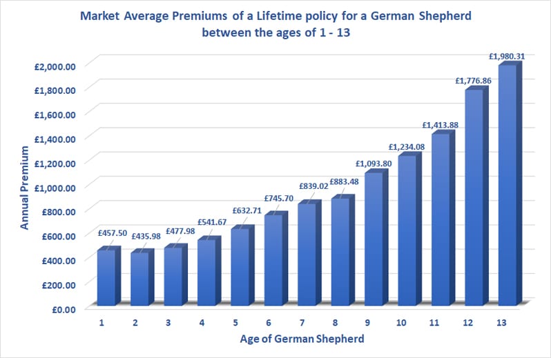 Best Dog Insurance for German Shepherds