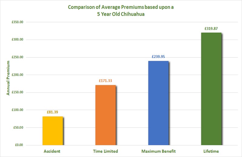 Selecting the right pet insurance for your Chihuahua