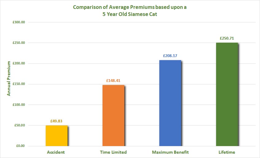 Best Siamese Cat Insurance