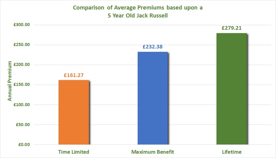 Jack Russell Dog Insurance Compare and Buy