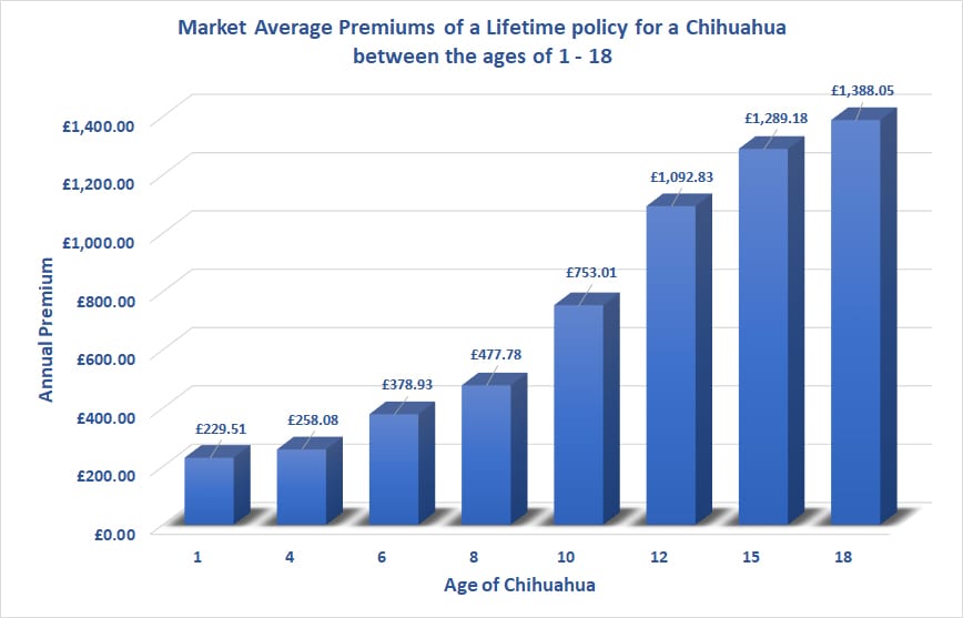 Best dog insurance for Chihuahua's