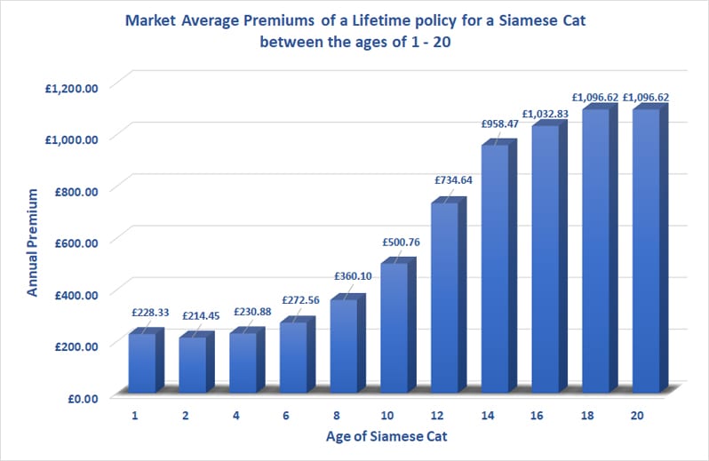 Who offers the best Siamese Cat Insurance?