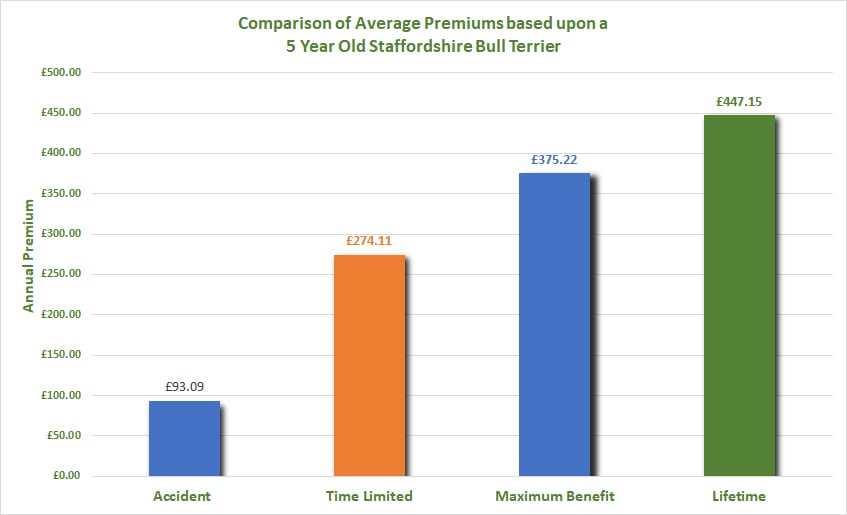 Best Dog Insurance for a Staffordshire Bull Terrier